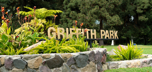 Griffith Park / Ferndell Trail